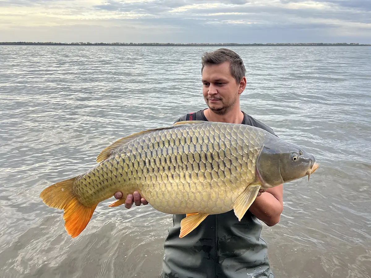 VN Zemplínska šírava, 16kg