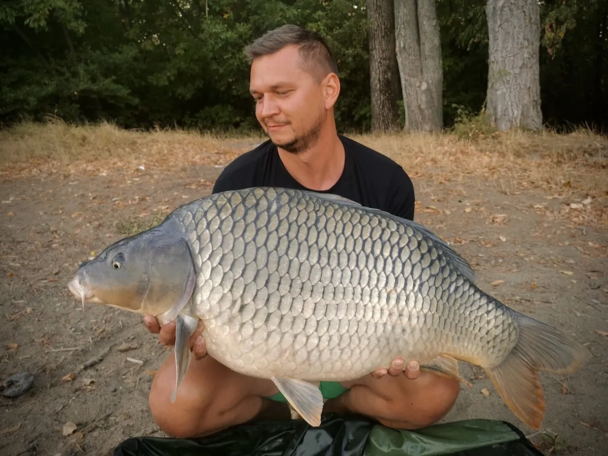 VN Zemplínska šírava, 16kg