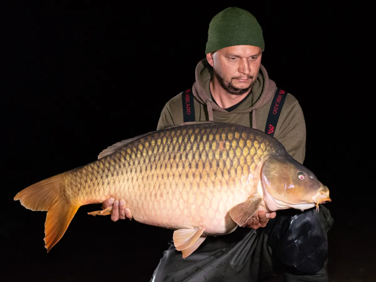 VN Zemplínska šírava, 20kg