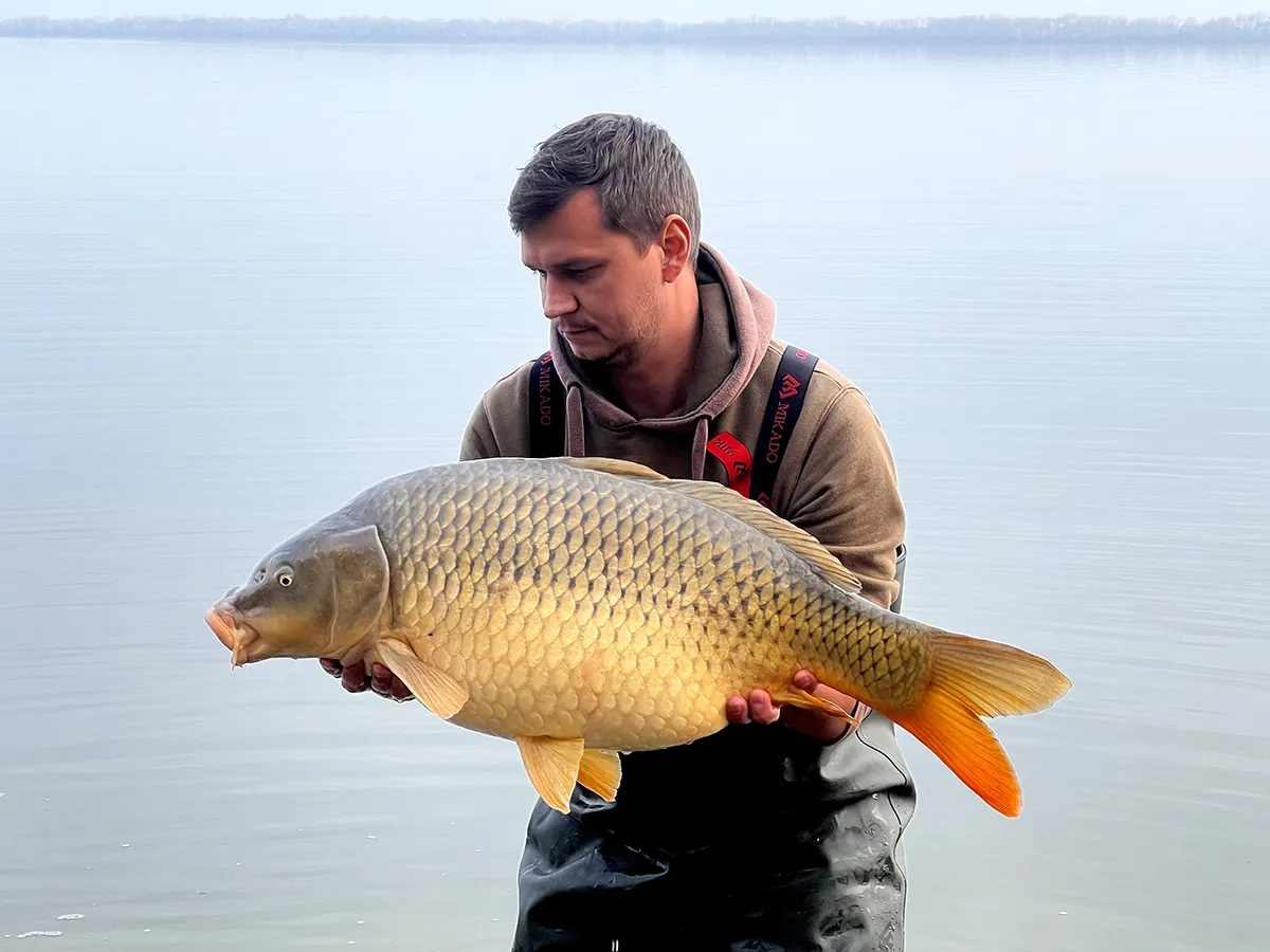 VN Zemplínska šírava, 16kg