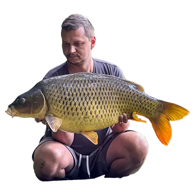 carp catch